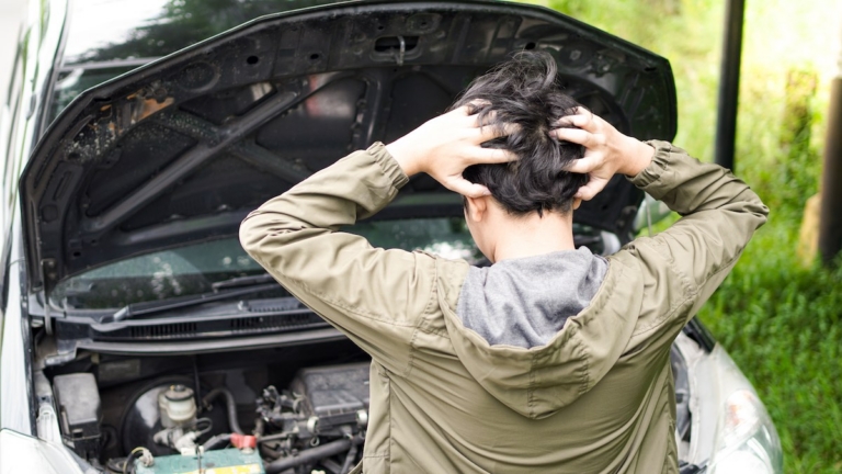 sullerid petturid autoturg kasutatud autod