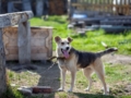 Foto: Envato