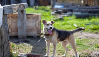 Foto: Envato