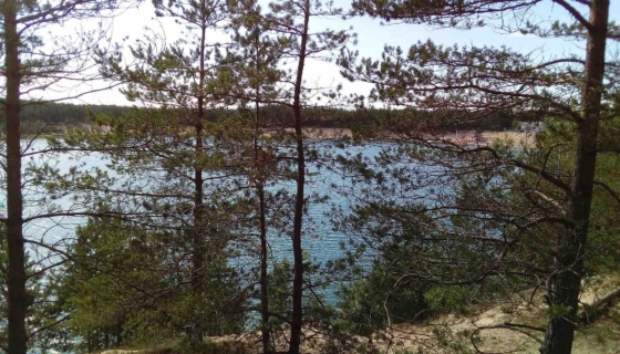 Valdeku karjäär. Foto: Wikimedia