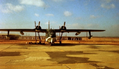 Amfiiblennuk USA sõjaväebaasis Lõuma-Koreas. Foto: John C. Ratliff / Wikimedia