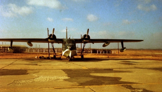 Amfiiblennuk USA sõjaväebaasis Lõuma-Koreas. Foto: John C. Ratliff / Wikimedia