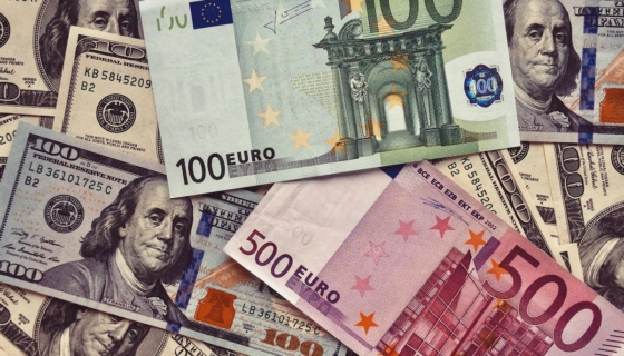 Dollarid ja eurod, rahatähed. Foto: Envato