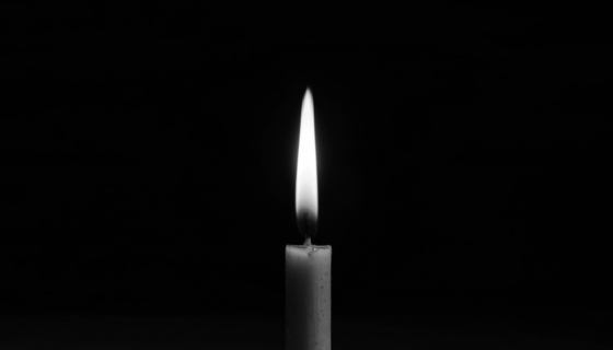 Foto: Envato