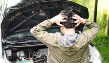 sullerid petturid autoturg kasutatud autod